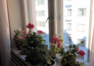 2ndhomes Pietarinkatu Apartment 4
