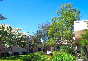 3-Star Hotel ∙ Cape Codder Resort & Spa