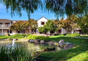 3-Star Hotel ∙ Four Points by Sheraton - Pleasanton