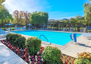 3-Star Hotel ∙ Four Points by Sheraton - Pleasanton