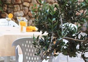 35 m² Apartment ∙ 1 bedroom ∙ 4 guests