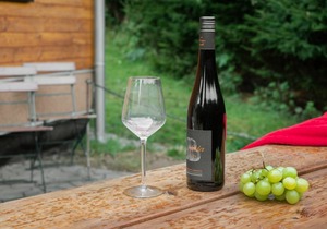 36 m² Accommodation ∙ 1 bedroom ∙ 4 guests