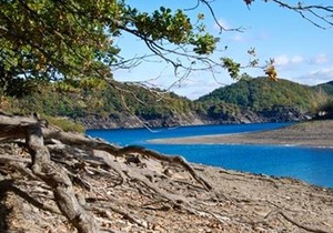 4-bed apartment (type B with dog possible) - Apartments Haus Panorama