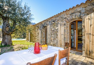 4 bedroom accommodation in Feliceto