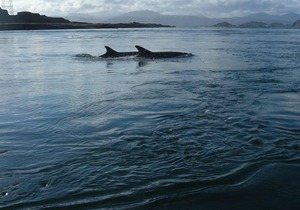 4 berth holiday home on the Isle of Luing, near Oban