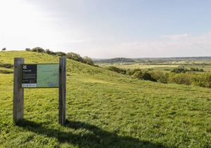 4 THE VAULTS, romantic in Glastonbury