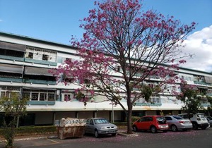 407 Sul - Ideal para família/grupo. Local nota 10