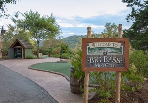 42 m² Studio flat ∙ 1 bedroom ∙ 4 guests