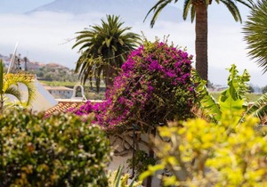 45 m² Apartment ∙ 1 bedroom ∙ 3 guests