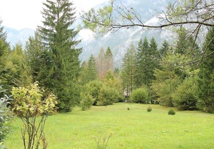 45 m² Apartment ∙ 1 bedroom ∙ 5 guests