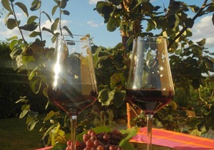 45 m² Apartment ∙ 1 bedroom ∙ 2 guests