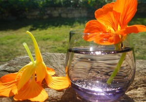 45 m² Apartment ∙ 1 bedroom ∙ 2 guests