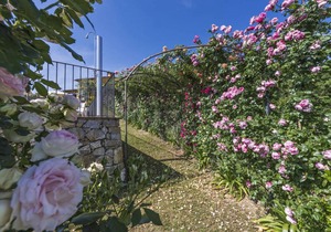 450 m² Villa ∙ 7 bedrooms ∙ 14 guests