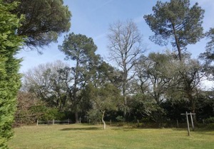 47 m² House ∙ 2 bedrooms ∙ 4 guests