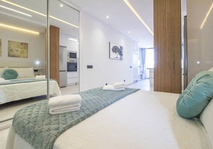 47 m² Studio flat ∙ 1 bedroom ∙ 2 guests