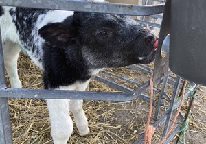 48 m² Apartment ∙ 2 bedrooms ∙ 4 guests