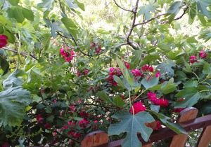 48 m² Studio flat ∙ 3 guests