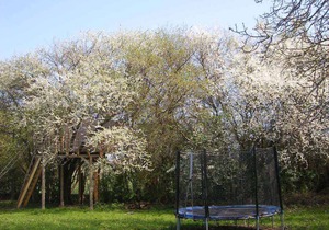 50 m² Apartment ∙ 1 bedroom ∙ 4 guests