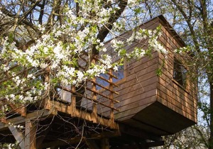 50 m² Apartment ∙ 1 bedroom ∙ 4 guests