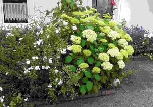 50 m² Apartment ∙ 1 bedroom ∙ 2 guests