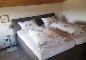 50 m² Apartment ∙ 1 bedroom ∙ 2 guests