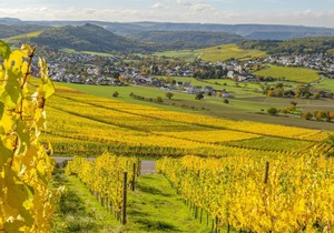 50 m² Apartment ∙ 1 bedroom ∙ 3 guests