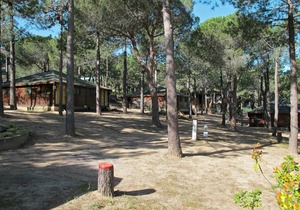 50 m² House ∙ 2 bedrooms ∙ 6 guests