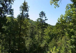 51 m² Cabin ∙ 4 guests