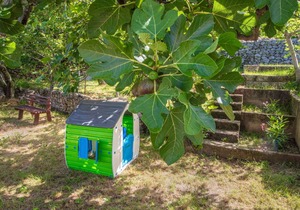 54 m² Apartment ∙ 2 bedrooms ∙ 5 guests