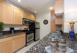 #540263 Dual-Master DTLA Suite