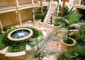 #540263 Dual-Master DTLA Suite