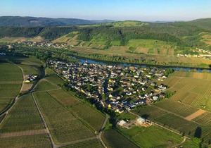 55 m² Apartment ∙ 1 bedroom ∙ 2 guests