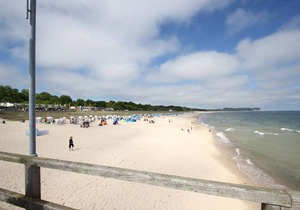 55 m² Apartment ∙ 1 bedroom ∙ 4 guests