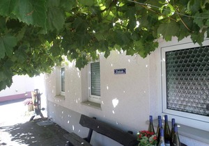 55 m² Apartment ∙ 1 bedroom ∙ 4 guests