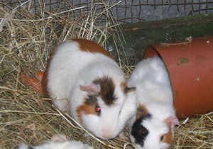 56 m² Apartment ∙ 2 bedrooms ∙ 2 guests