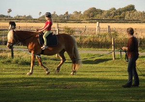 56 m² Apartment ∙ 2 bedrooms ∙ 2 guests