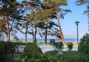 59 m² Apartment ∙ 1 bedroom ∙ 4 guests