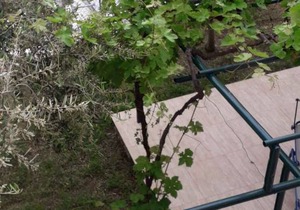 60 m² Apartment ∙ 1 bedroom ∙ 5 guests