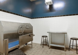 624 Yale Ave N in Seattle