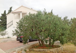 64 m² Apartment ∙ 3 bedrooms ∙ 6 guests