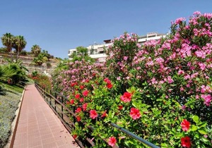 65 m² Apartment ∙ 2 bedrooms ∙ 4 guests