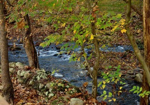 74 m² Cabin ∙ 2 bedrooms ∙ 6 guests