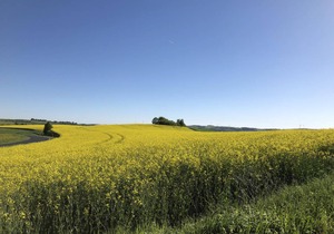 75 m² Apartment ∙ 1 bedroom ∙ 2 guests