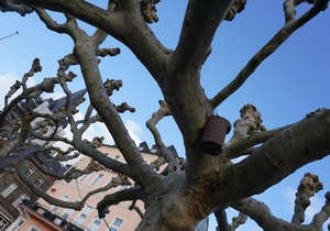 77 m² Apartment ∙ 1 bedroom ∙ 2 guests