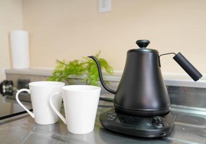 88th Matsui Bill - Vacation STAY 88952