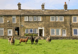 90 m² Cottage ∙ 1 bedroom ∙ 2 guests