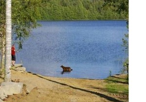 96 m² Apartment ∙ 2 bedrooms ∙ 6 guests