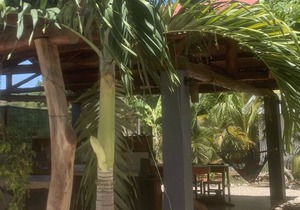 A rustic lodge surrounded by gardens, in a jungle setting - double Room 1