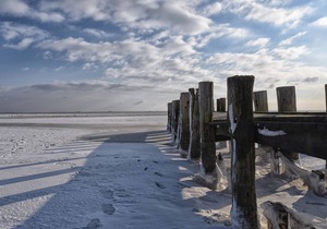 A small nest in the heart of Wyk.