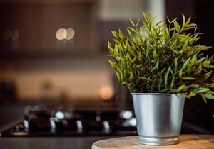 A superior lodge 2 that sleeps 6 guests in 2 bedrooms